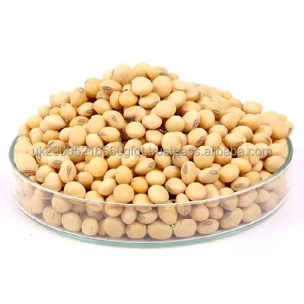 Premium Non GMO Soybeans1.jpeg