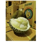Premium Fresh Monthong Thai Durian Fresh Fruit With High Quality And Best Selling Price