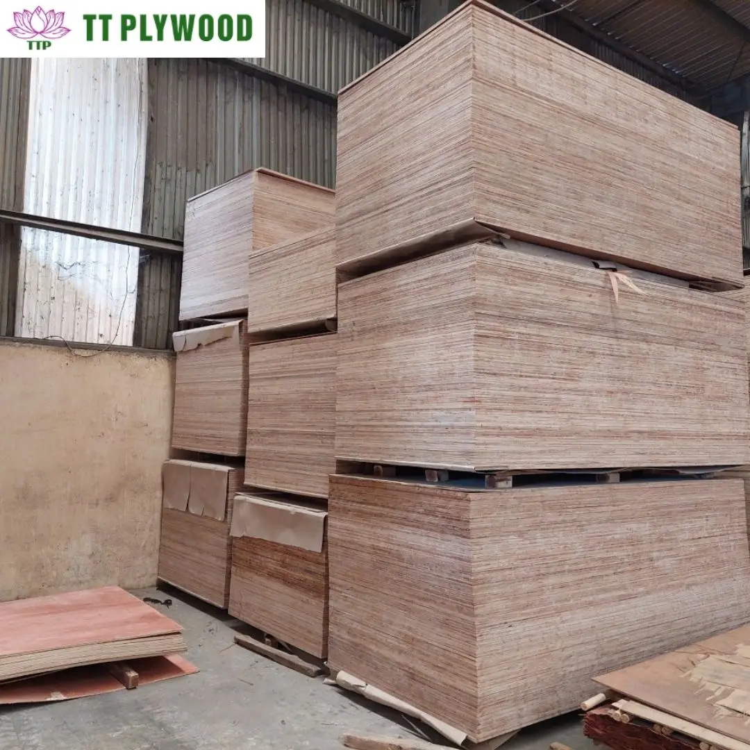 Eucalytups Acacia Timber Bintangor Okume E E Commercial Plywood