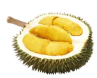 Hot Selling Fresh Fruit King Durian D101 Red Prawn Whole Durian