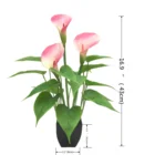 Calla Lilies Flower Artificial Calla Lilies Calla Potted Flower For Home Decoration