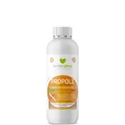 Liquid Propolis extract for organic farming with Flavonoid at 6 mg/g high quality made in Italy 0 5 Lt