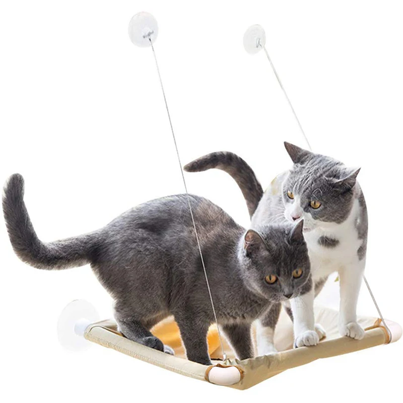 cat window perch suction cups