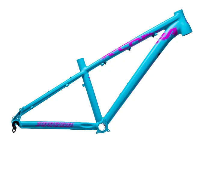 cycle frame