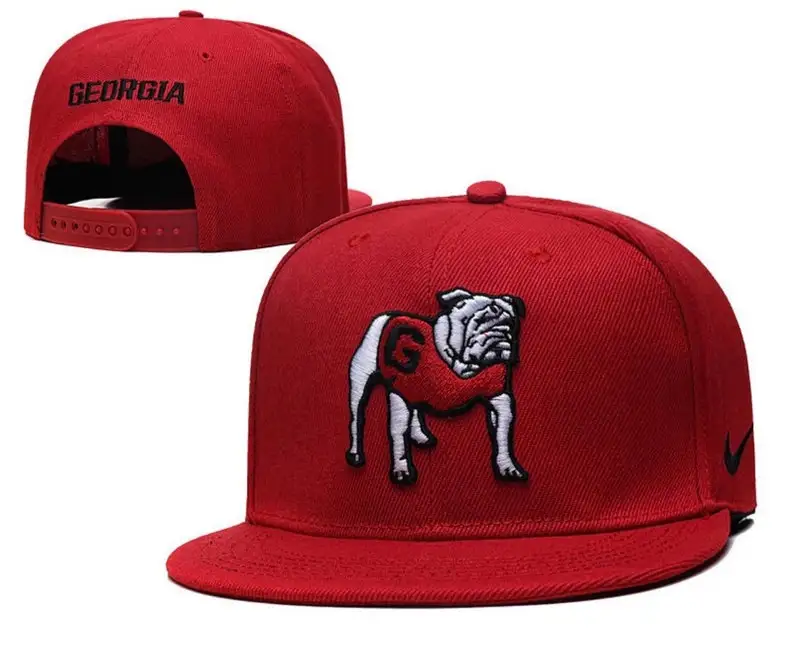 uga flat bill hat