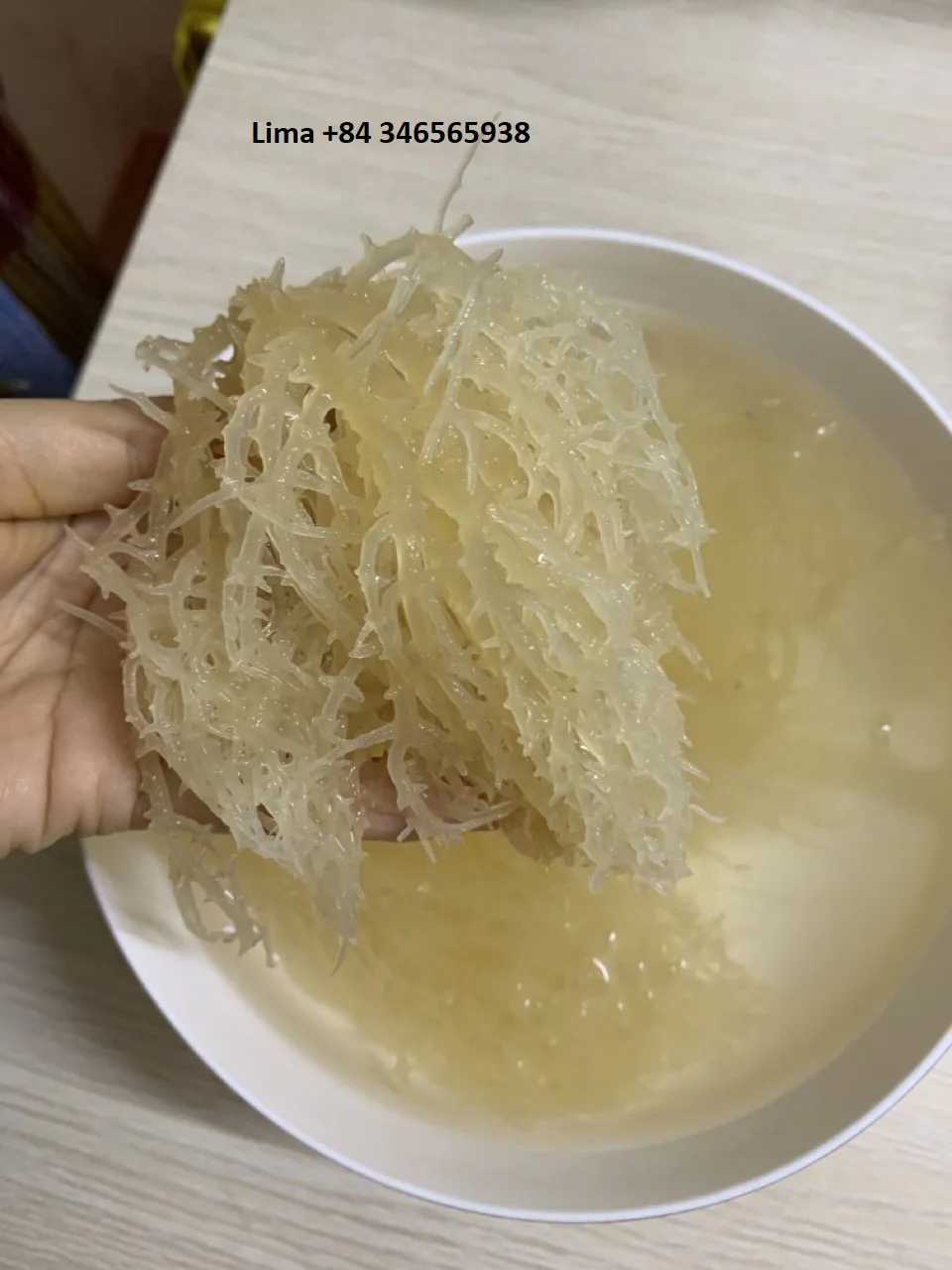 Best Quality Dried Sea Moss Raw Gold,Purple Sea Moss 100 Irish Sea Moss From Vietnam