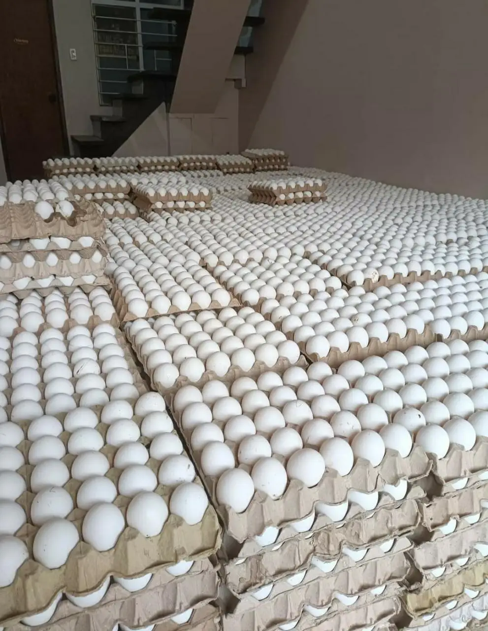 Freshly Stock Brown /white Shell Table Eggs For Sale At Wholesale Price