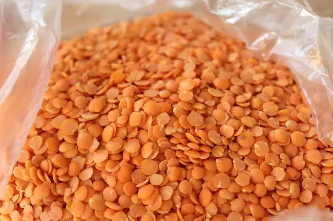 Red Split Lentils3.jpg