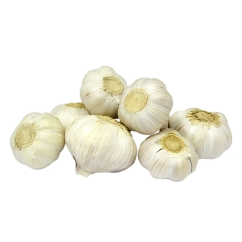 Normal White Garlic New Crop Garlic Buy Leading Chinese Fresh Garlic Supplier With Garlic