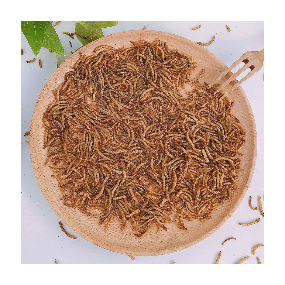 Dried Mealworm For Bird,Yellow Dried Mealworms Yellow Wholesale High