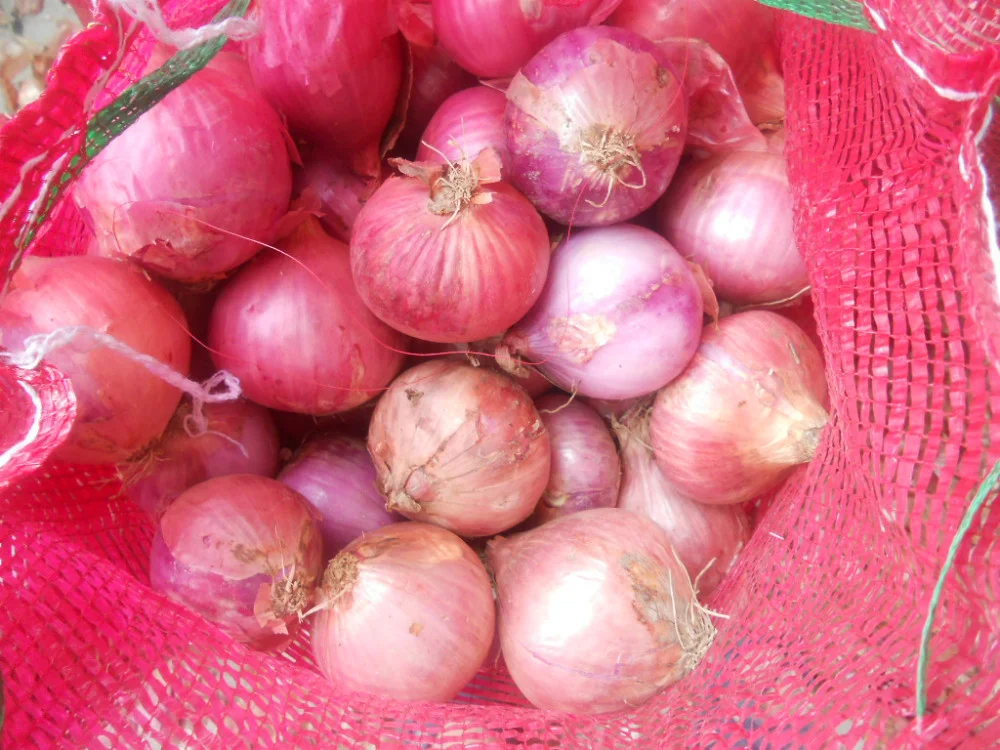 New Crop Fresh Red And Yellow Onion At Cheap Price Buy Wholesale