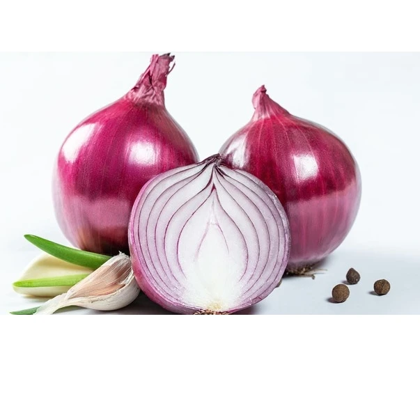 Экспорт свежего красного лука высшего качества (+ 84983028718)