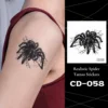 CD-058-Tarántula de carbón en la web