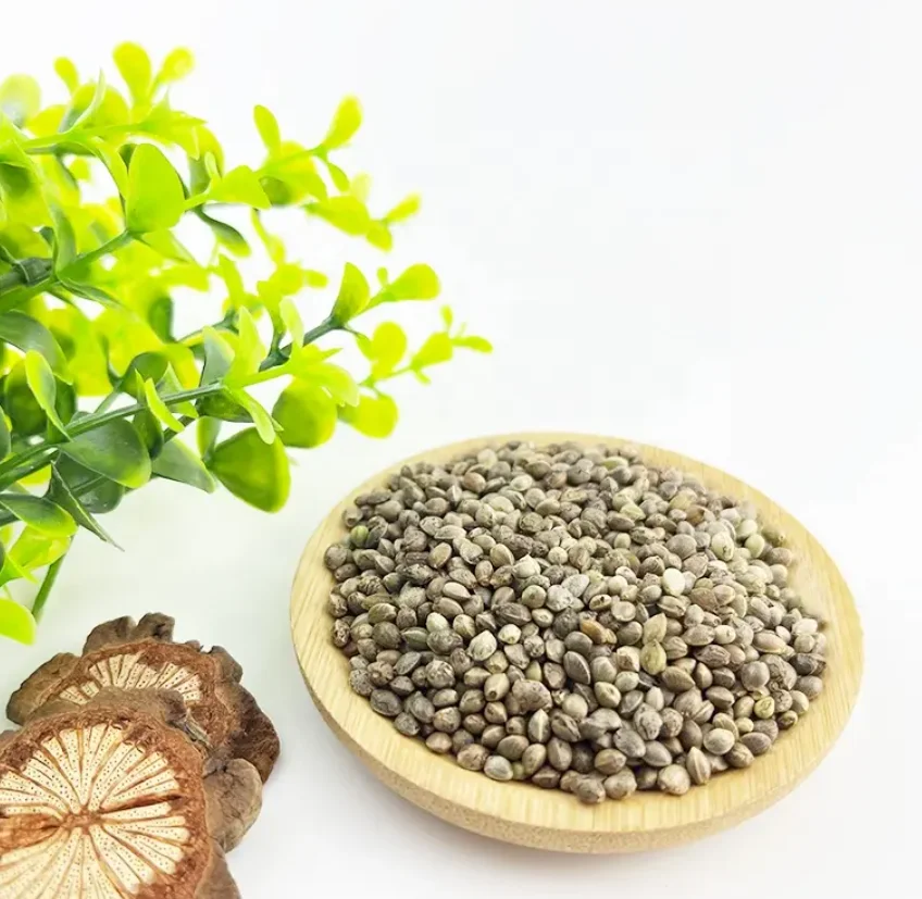 High Quality Hulled Hemp Seeds Top Selling Bulk Canada Natural Bird