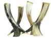 Natural horn colour