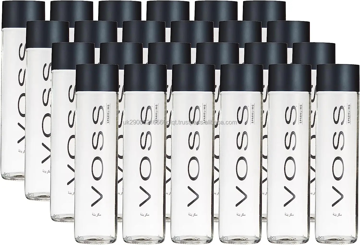 VOSS1.jpg