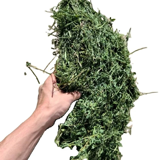 Fresh Alfalfa (lucerne) Hay/timothy Alfafa Hay/ Cheap Alfafa Hay For