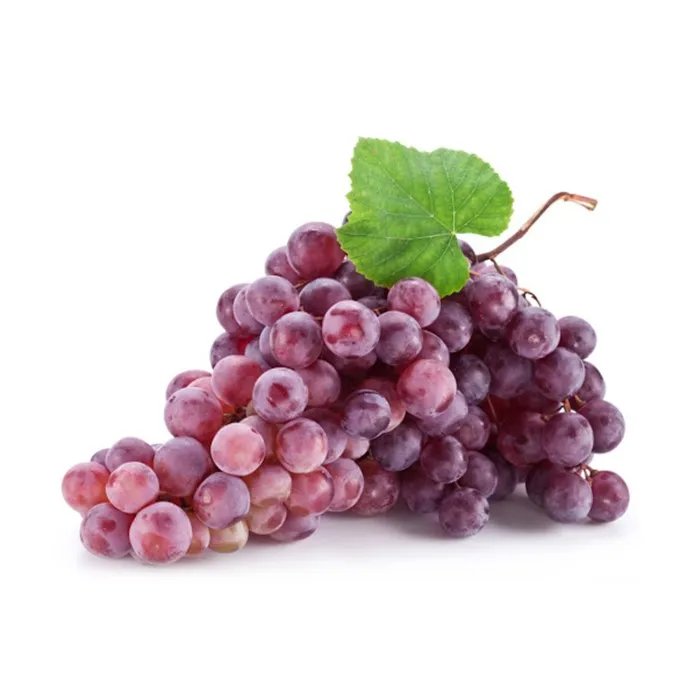 Premium Grade Grapes Fresh Thompson Seedless Grape Bulk Supplier