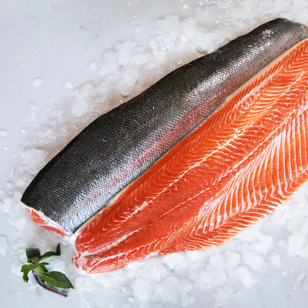 Quality Iqf Frozen Rainbow Trout Fillet For Sale Buy Frozen Trout