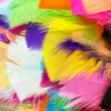 Colorido