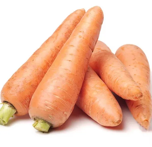 Organic Fresh Carrots Wholesale Bulk Washed & Graded 10kg Mesh Bags Orange/Red Ready to Use for Export in Competitive Price