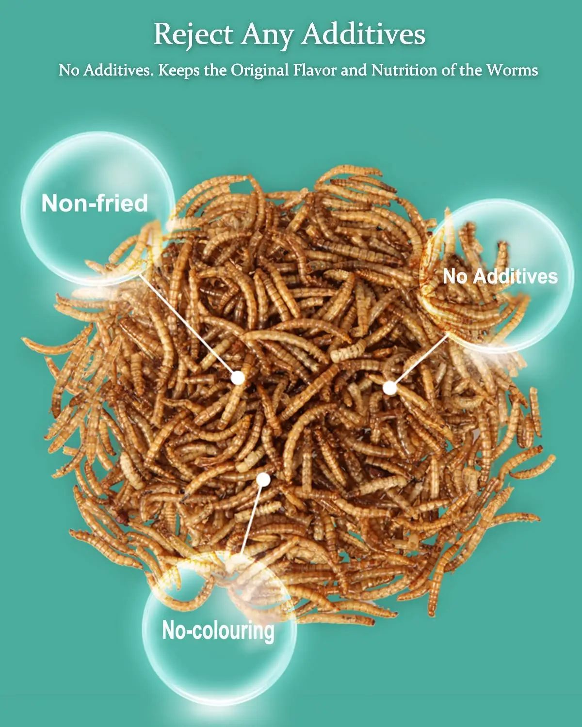 Mealworms Mealworms 100 Non Gmo Natural Dried Mealworms For Chickens