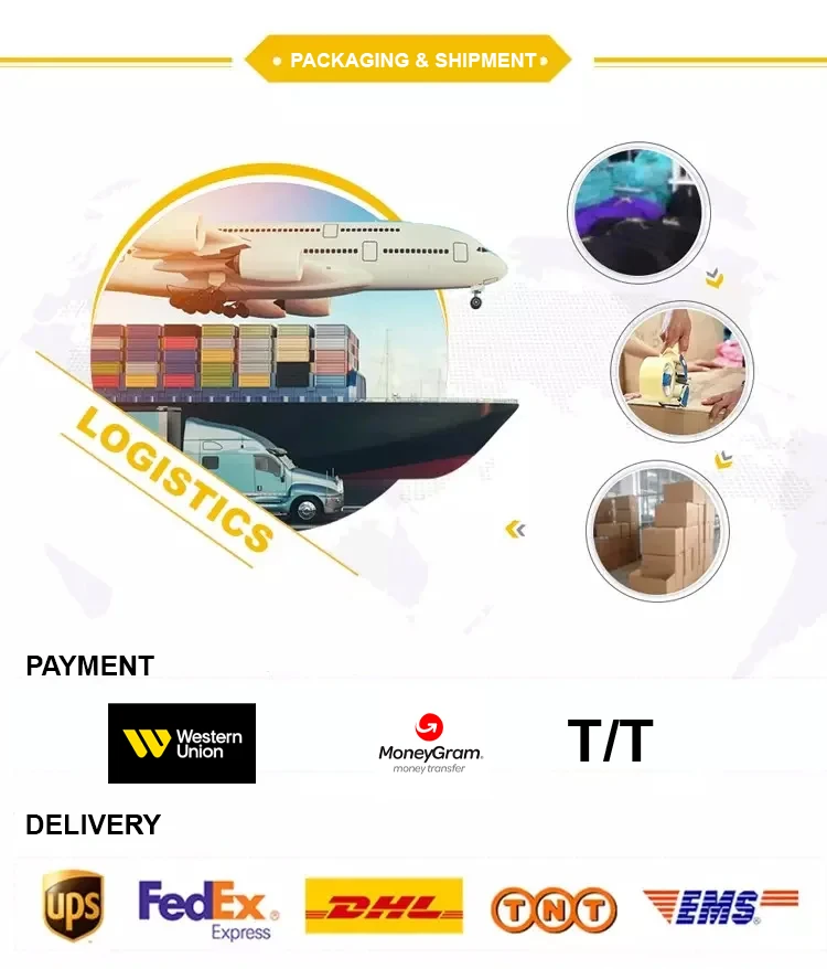 Stainless Steel Dissection Kit For Anatomy & Biology Medical Students