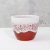 Red + White