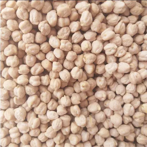 Origin Turkey Chickpeas 8mm for Europe