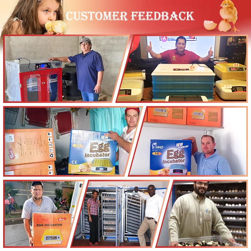 Low Price Automatic Solar Ac Dc Full Auto Broiler Chicken Egg Incubator and Hatcher Hatching Machine for Sale in Pakistan 108