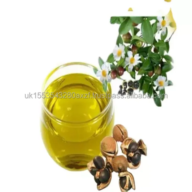 Camellia oil (2).png