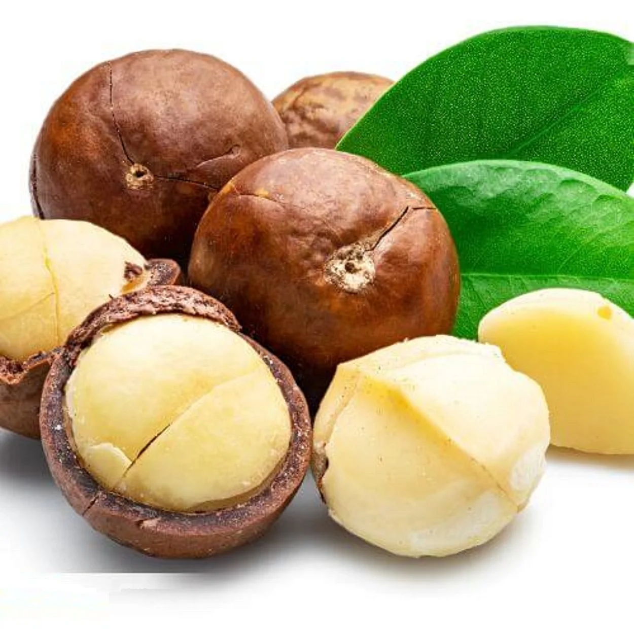 High Quality Naturally Grown Macadamia Nuts At Cheap Wholesale Price