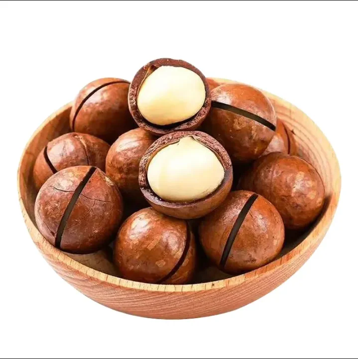 Raw Macadamia Nuts Dried Style for Sale
