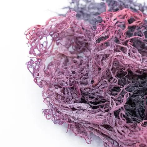 IRISH DRIED SEAMOSS CARTILAGE HIGH QUALITY FROM VIETNAM  TRACY