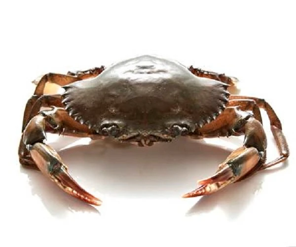 Live Mud Crabs Red King Crabs Whole Part Delicious Seafood Frozen Blue