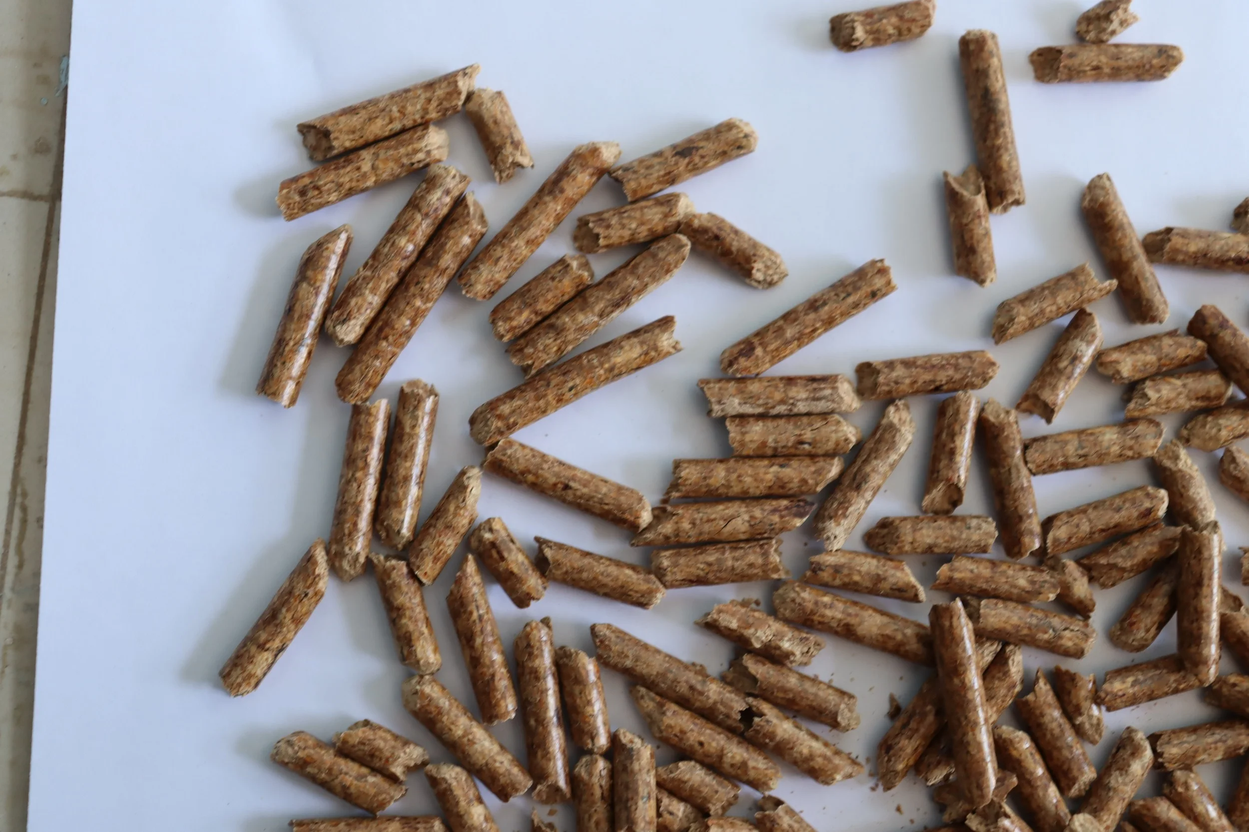 Pinewood Eco Friendly Biomass Pellet 6 Mm (15 Kg Bag) Manufacturer Of
