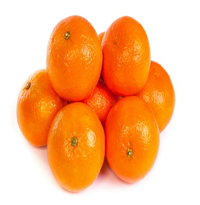 Fresh High Quality Sweet Tangerine Cheap Small Tangerine Citrus Orange Fruit with Leaves Mandarin Orange