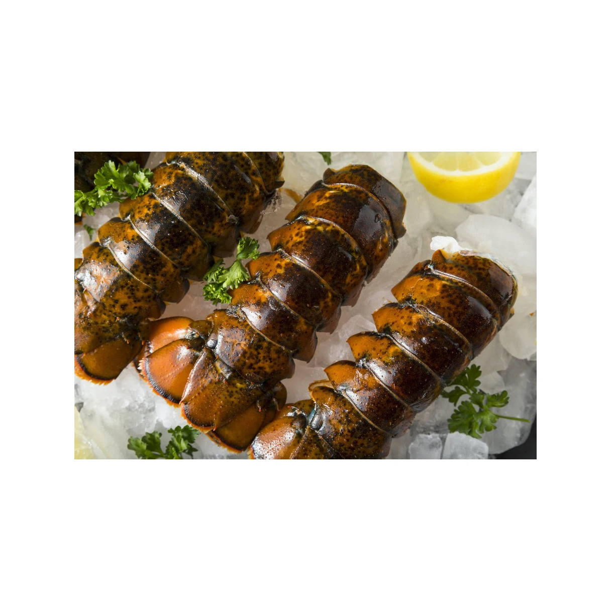 Cheap Fresh Water Lobster / Fresh Shrimp Frozen Lobster / Frozen ...
