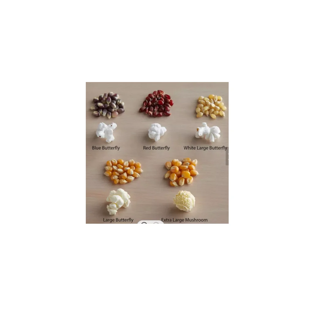 popcorn kernels 25kg