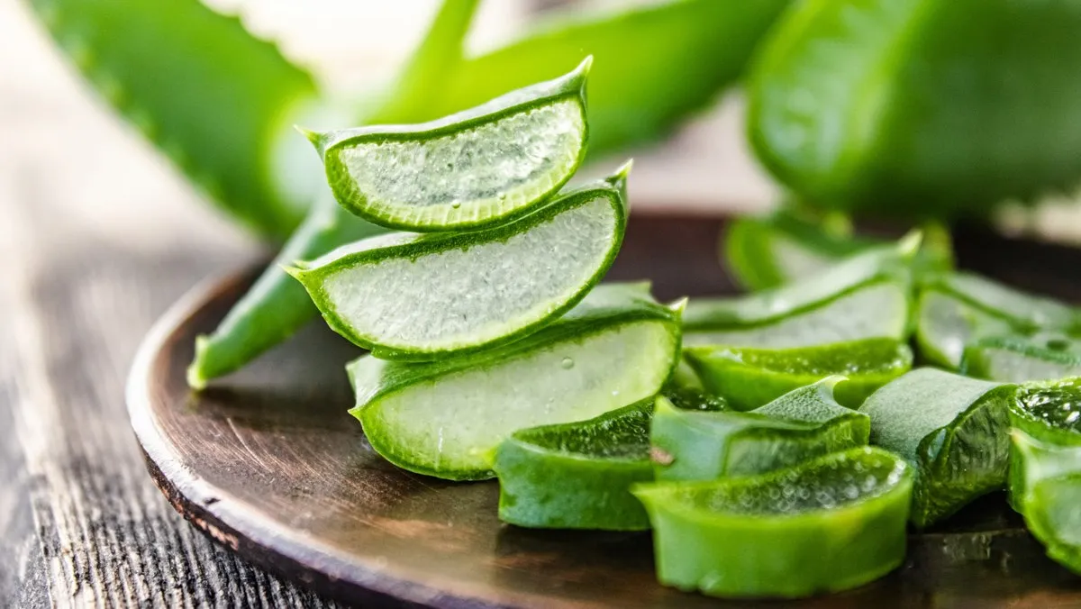 urea aloe vera ISSUWEN Urea Cream 42% with Salicylic Acid 2% for Cracked Heels, 2 Pac   TheCharmonic.com
