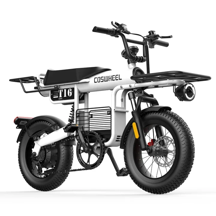T16 EBIKE Electric Mountain Bike