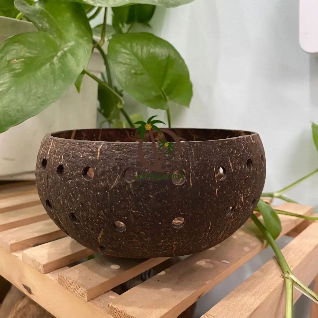 Natural Handmade Coconut Shell Pot Micro-Green Seed Planter with Hanging Feature for Garden Use