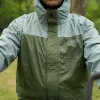 Gray and green