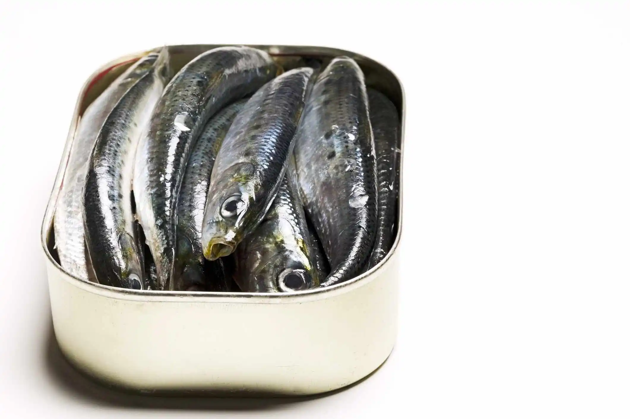 Original Canned Seafood Sardine At Cheap Wholesale Price Buy Canned