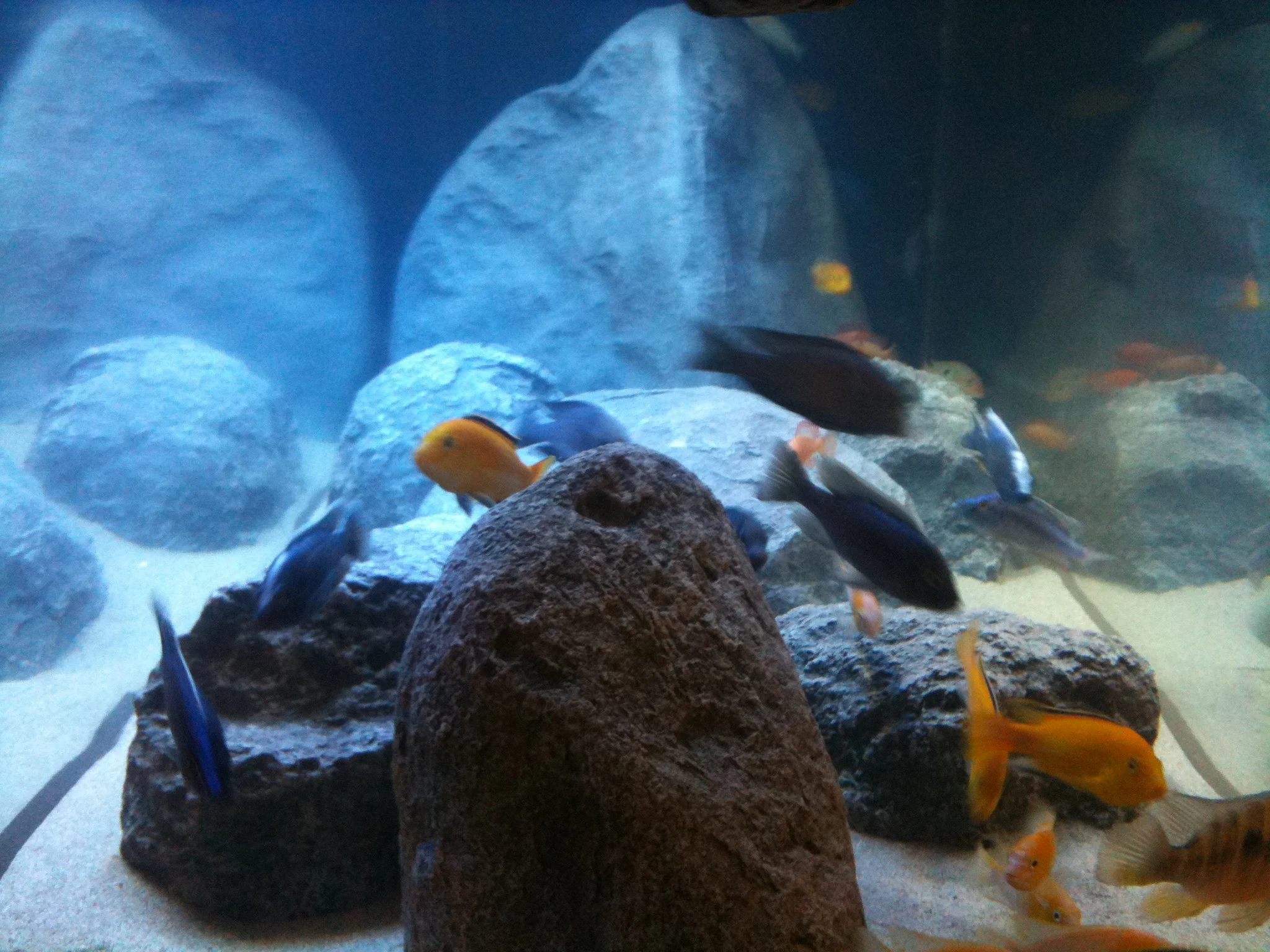 Waterproof Rocks Alibaba.com: Waterproof 3D resin artificial rocks for home, restaurant ...