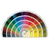 Choose Your Color