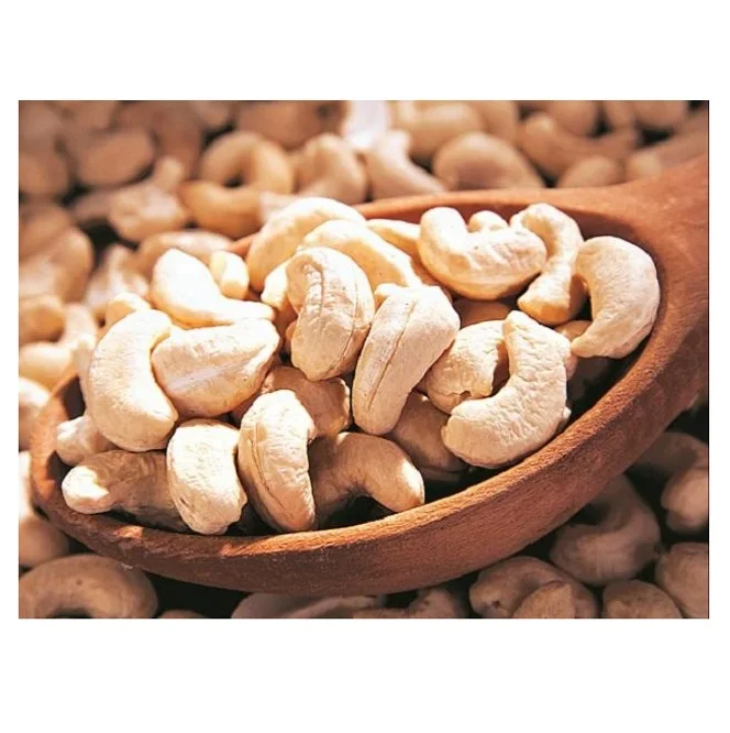 High quality Raw Cashew Nuts 100% healthy Cashew Nuts CHEAP PRICE For Cashew Nuts W320 W240 Packing Low price