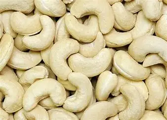 Now Available New Season Delicious Roasted Cashew/ Best Quality Salt Baked Cashew Nuts Sale