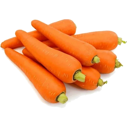 High Quality Carrots/ Wholesale Fresh Red Carrot Organic Fresh Carrots for Sale