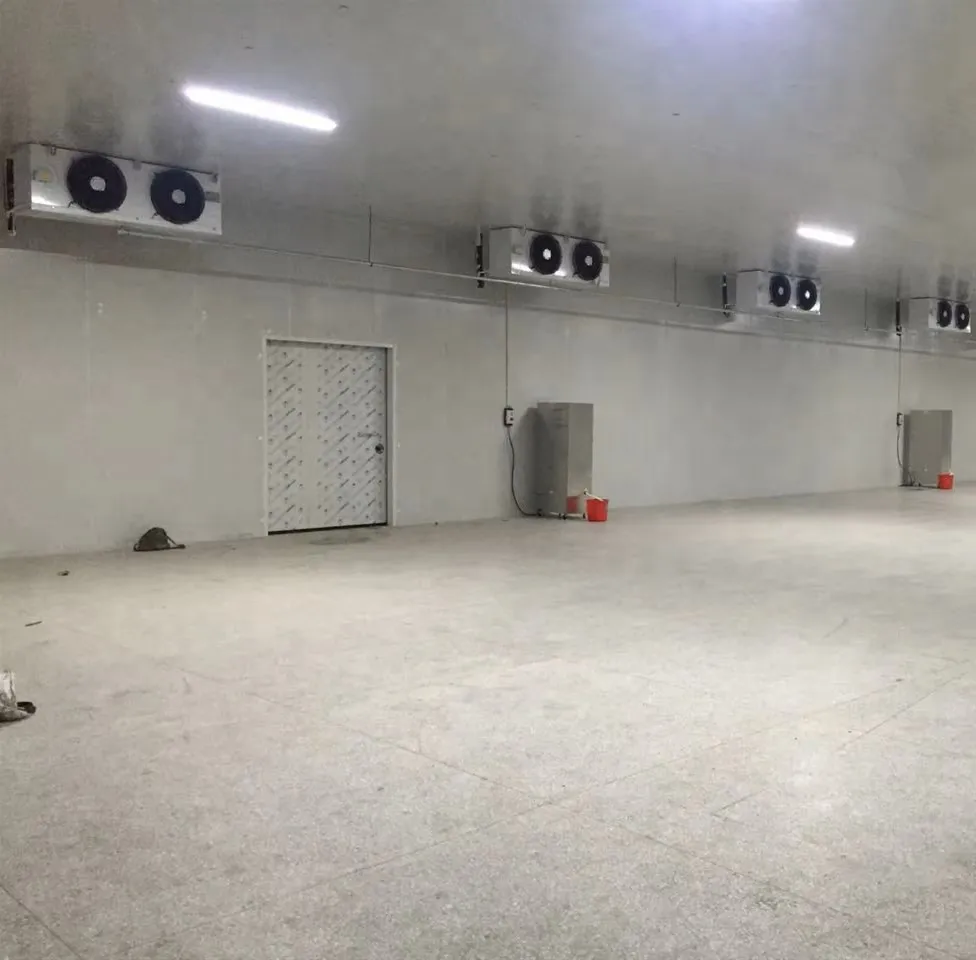 Energy-saving cold storage and frozen warehouse projects for storage of meat processing and agricultural projects